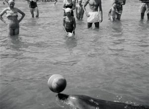 Opo the dolphin and admirers, Opononi, 1956 (Te Papa, F.005006/02)